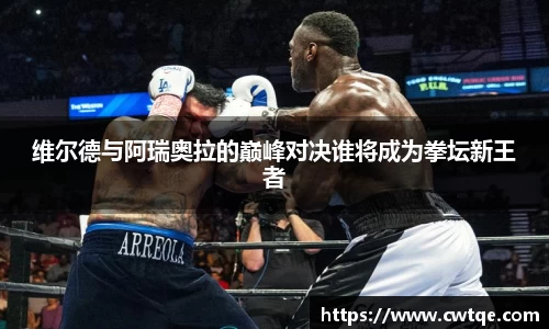 维尔德与阿瑞奥拉的巅峰对决谁将成为拳坛新王者